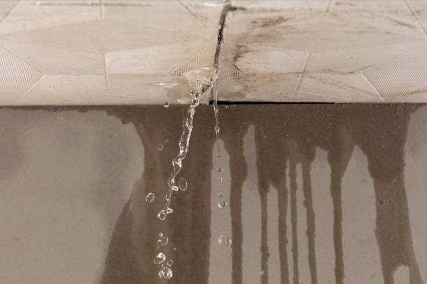 Professional Flood Damage Cleanup technician working in Altamont, IL